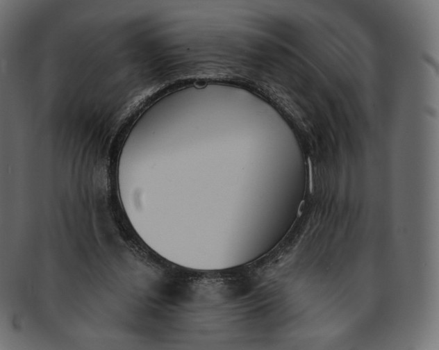 X0000091520252200709071024