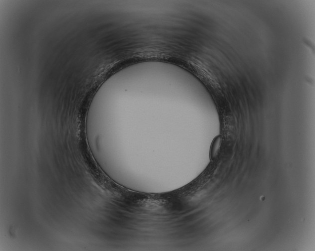 X0000091520255200709071024