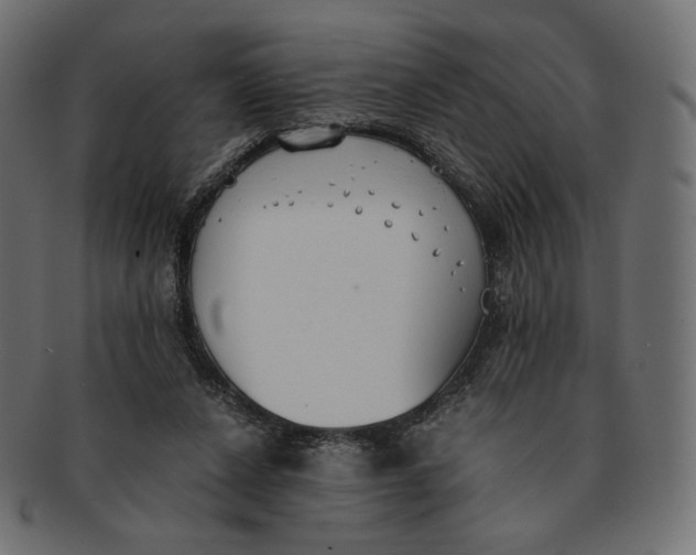 X0000091520256200709071024