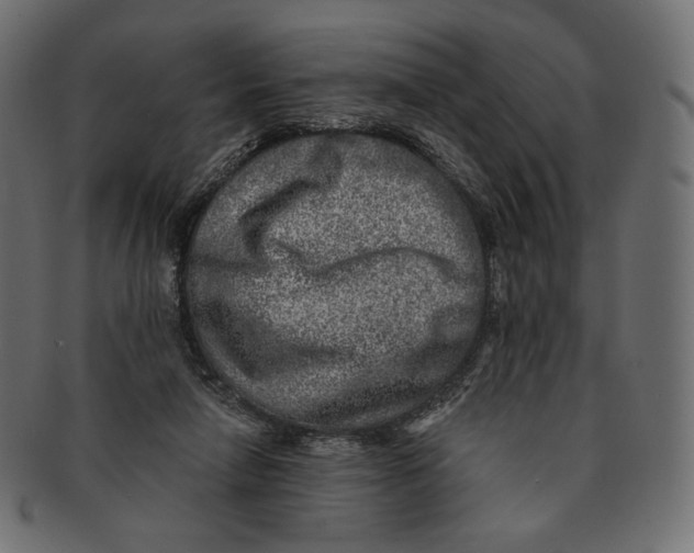 X0000091520258200709071024