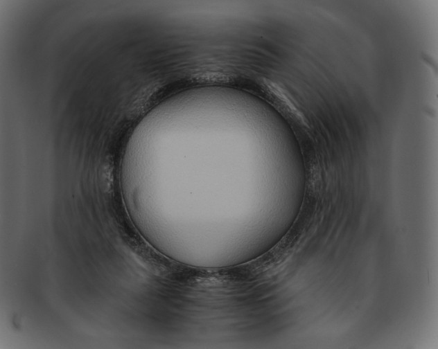 X0000091520259200709071024