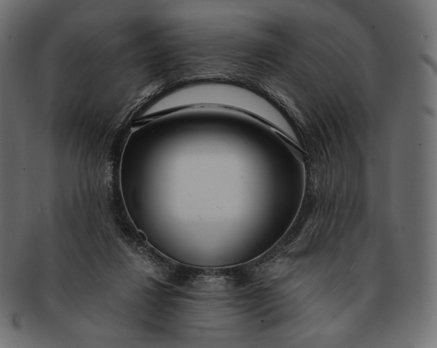 X0000091520260200709071024