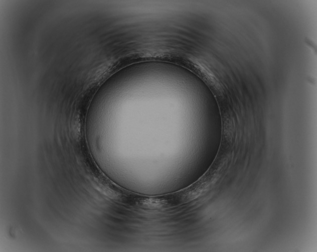 X0000091520261200709071024