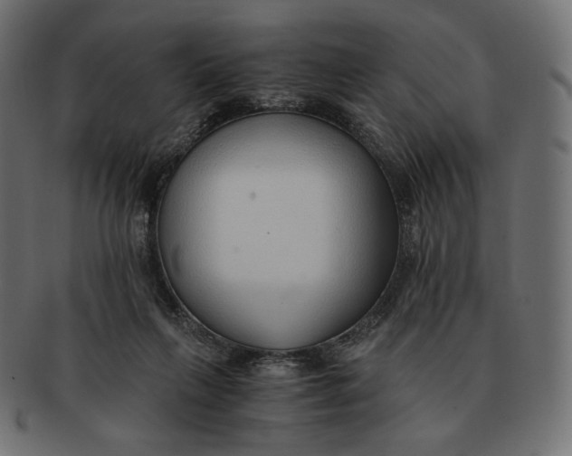 X0000091520263200709071024