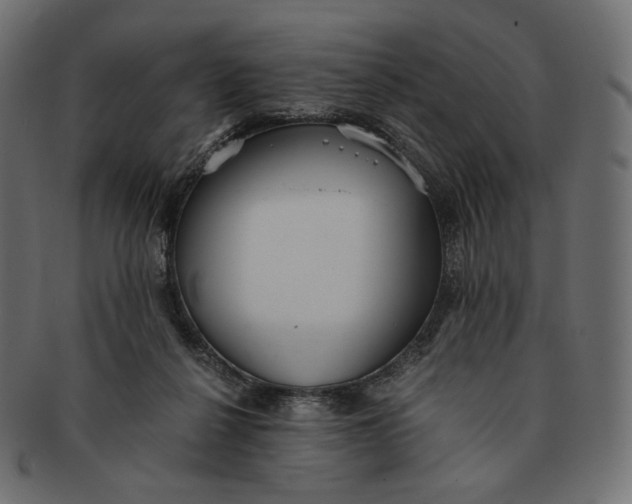 X0000091520264200709071024