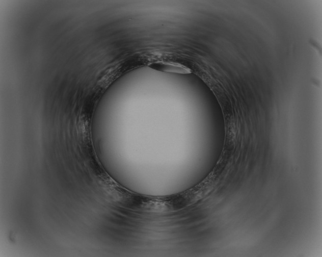 X0000091520276200709071024