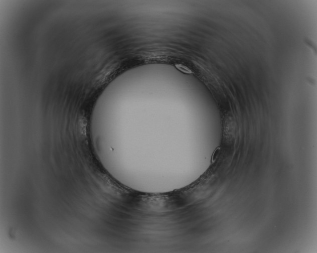 X0000091520282200709071024