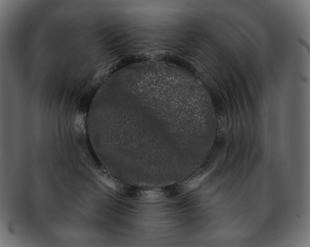 X0000091520286200709071024