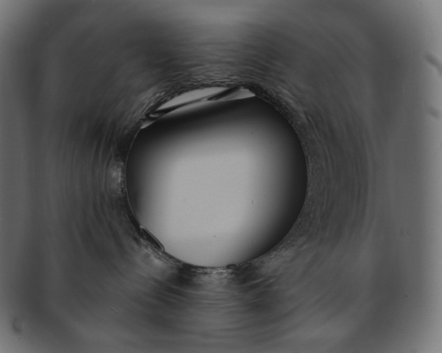 X0000091520288200709071024