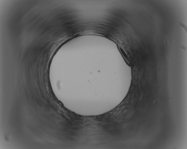 X0000091520289200709071023