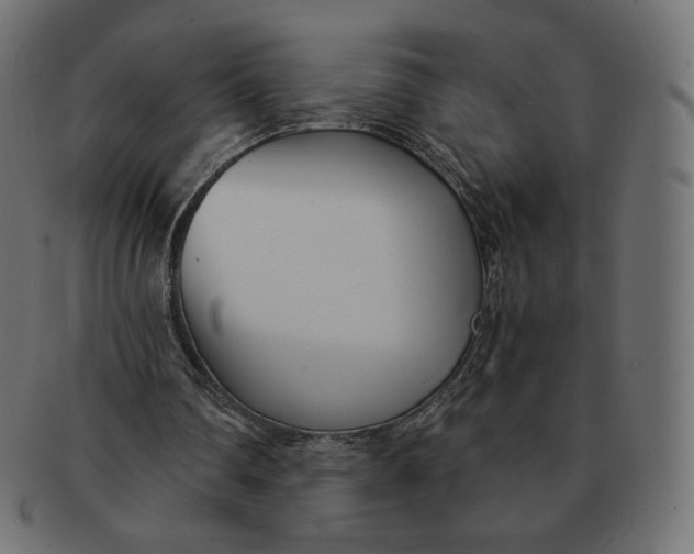 X0000091520290200709071023