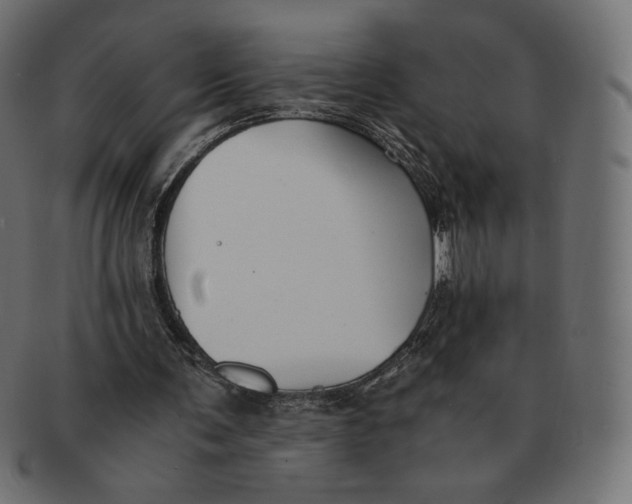 X0000091520291200709071023