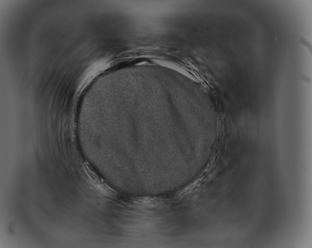 X0000091520293200709071023