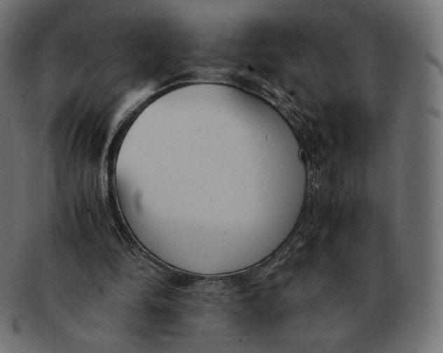 X0000091520294200709071023