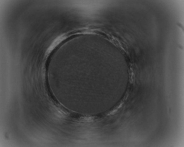 X0000091520295200709071023