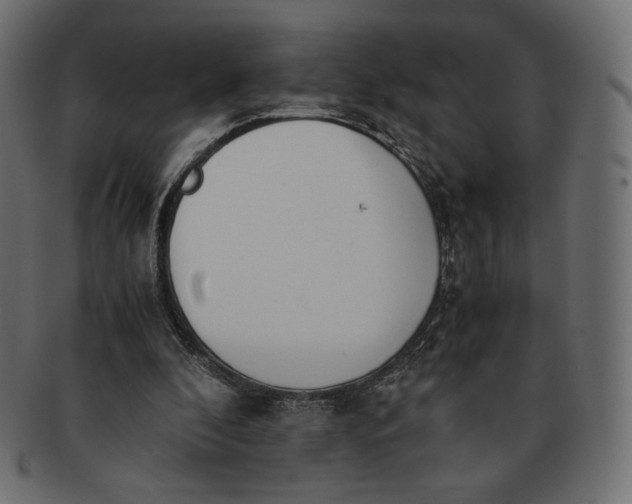 X0000091520296200709071023