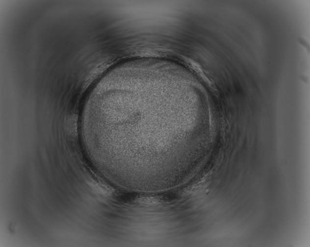 X0000091520299200709071023