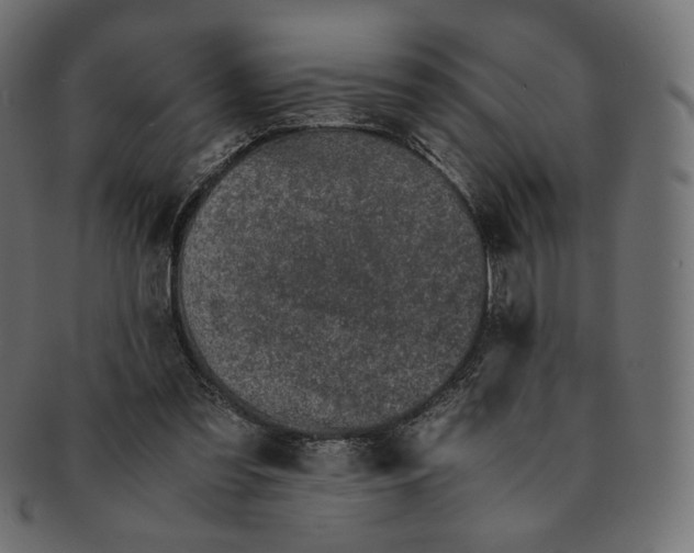 X0000091520301200709071023