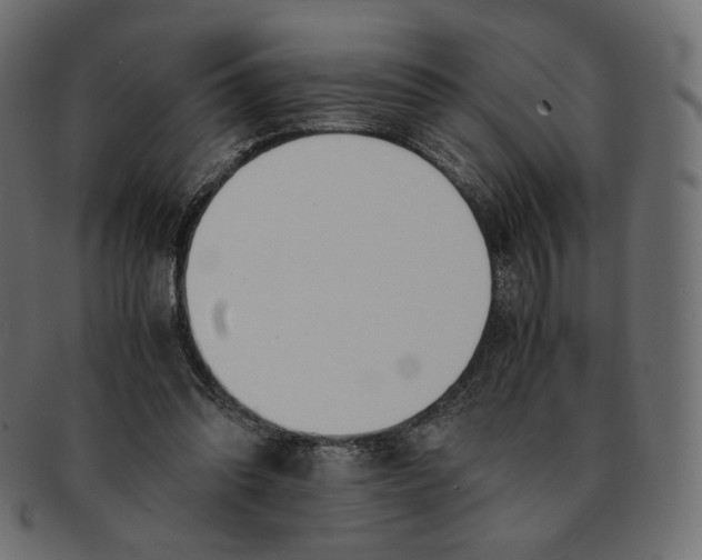 X0000091520302200709071023