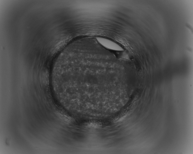 X0000091520303200709071023