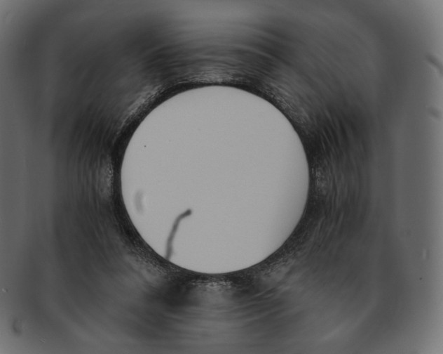 X0000091520304200709071023