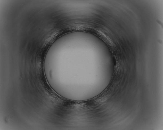 X0000091520306200709071023