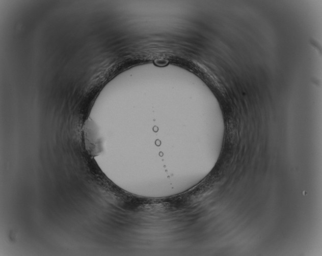 X0000091520307200709071023