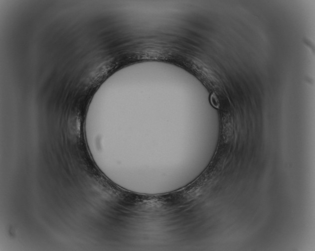 X0000091520310200709071023