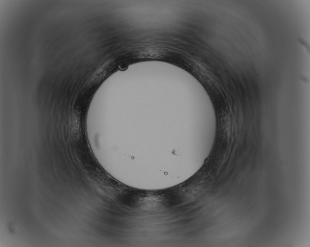 X0000091520312200709071023