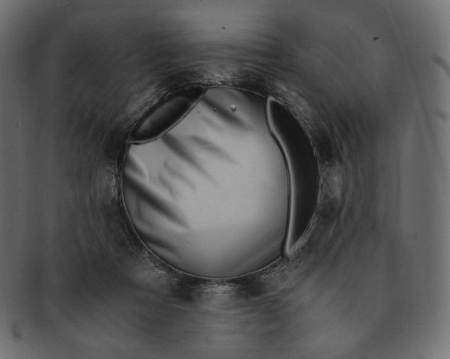 X0000091520313200709071023