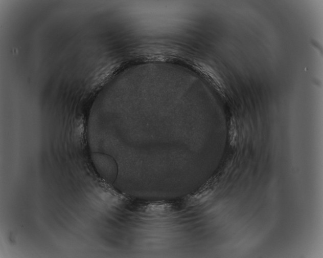 X0000091520314200709071023