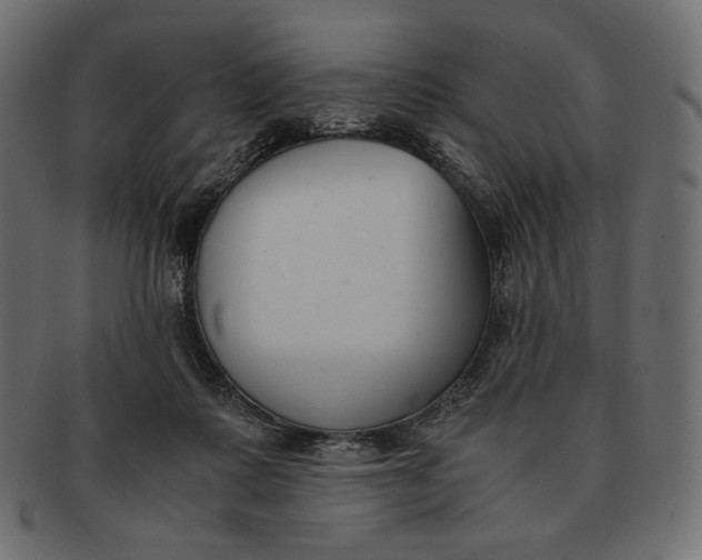 X0000091520315200709071023