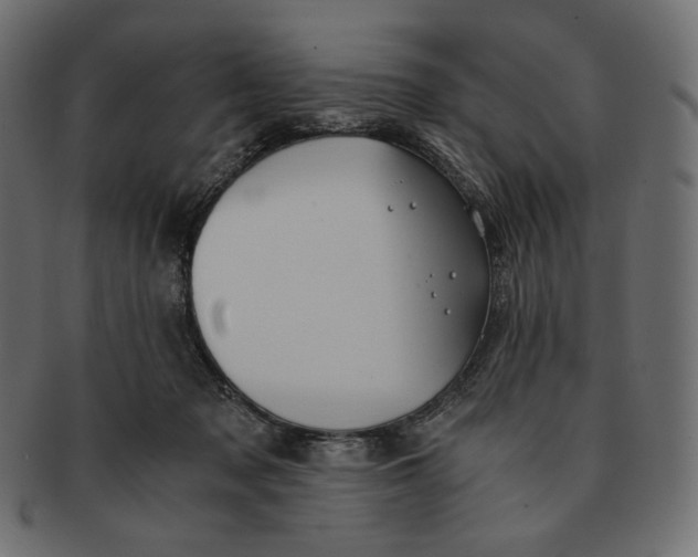 X0000091520317200709071023