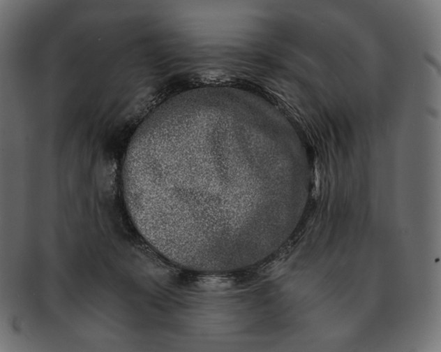 X0000091520319200709071023