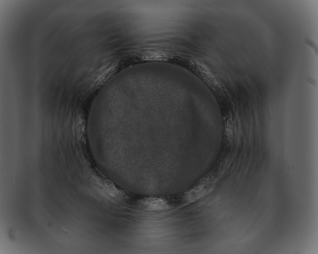 X0000091520322200709071023