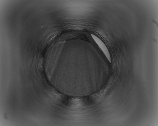 X0000091520325200709071023