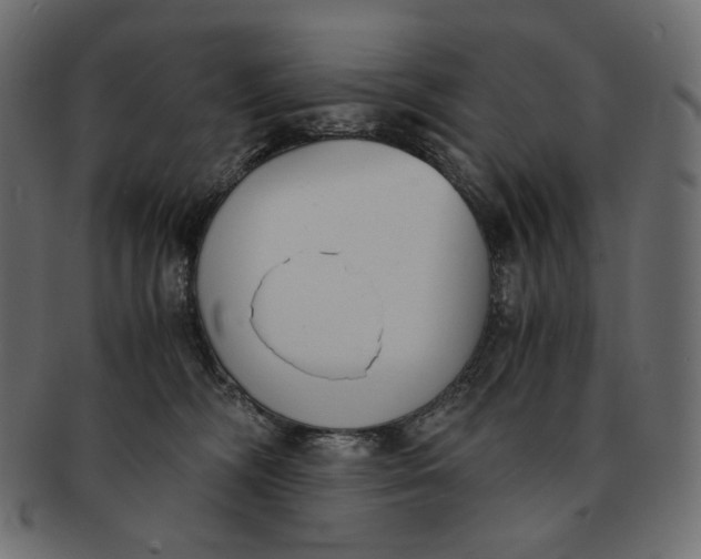 X0000091520326200709071023