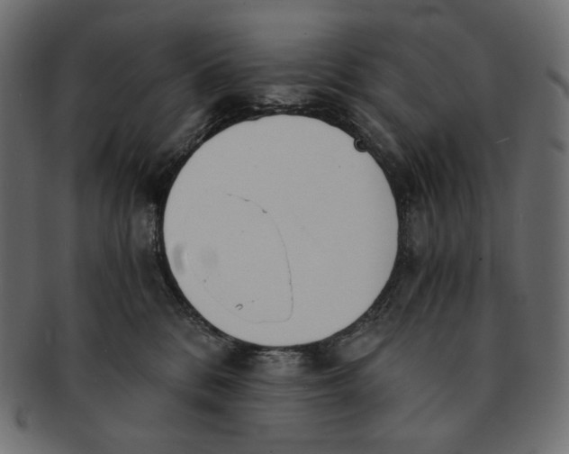 X0000091520328200709071023