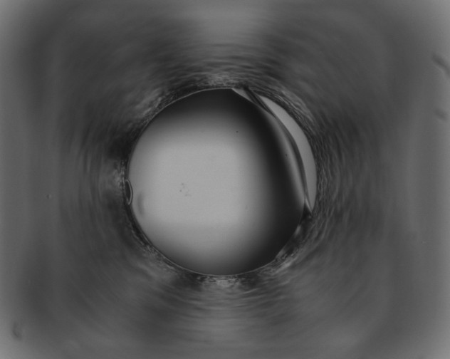 X0000091520329200709071023