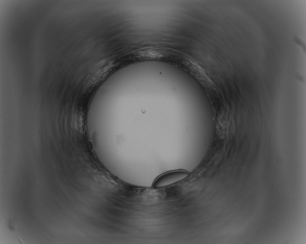 X0000091520330200709071023