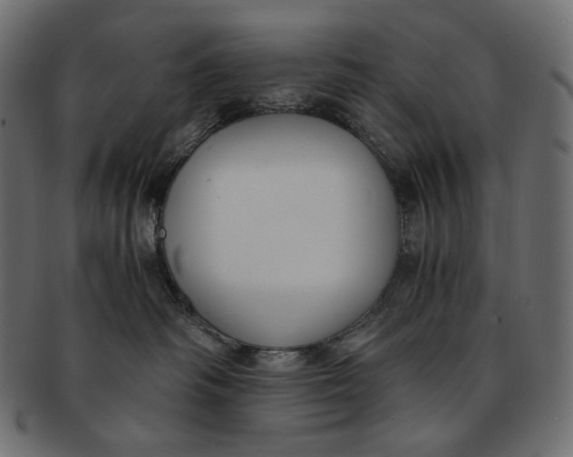 X0000091520334200709071023