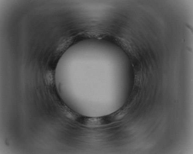 X0000091520335200709071023