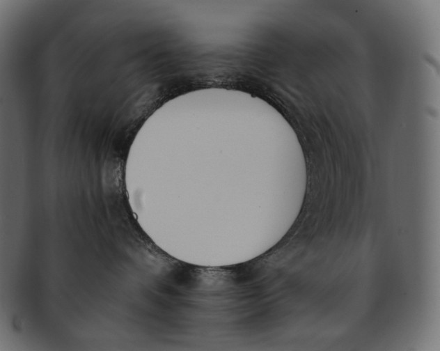 X0000091520336200709071023