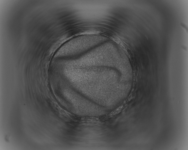 X0000091520337200709071022