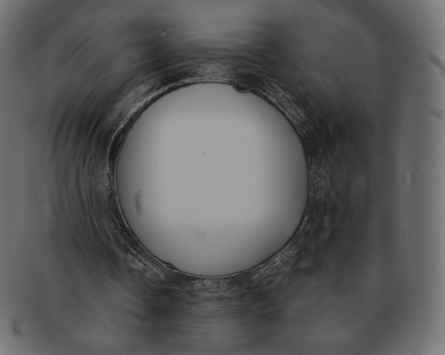 X0000091520338200709071022