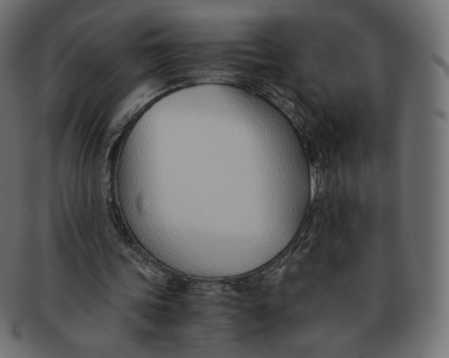 X0000091520339200709071022