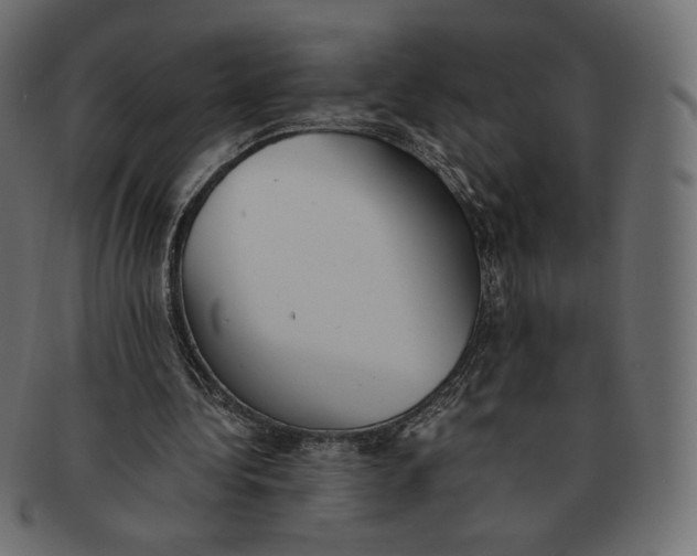 X0000091520340200709071022