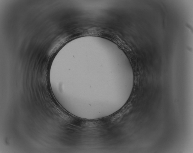 X0000091520341200709071022