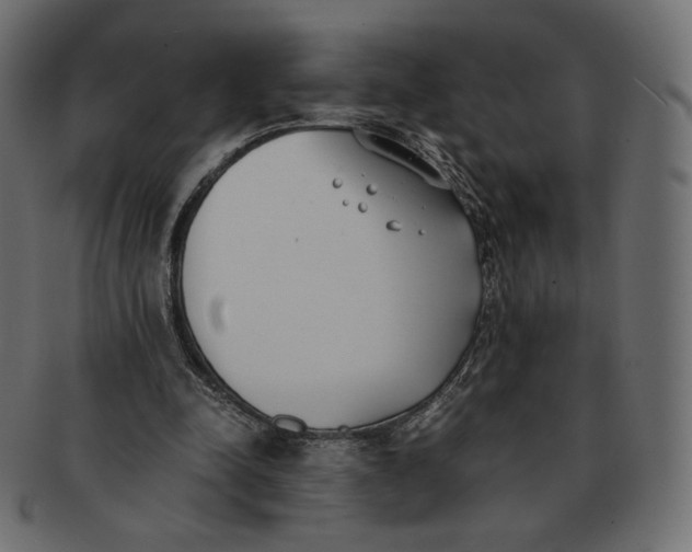 X0000091520342200709071022