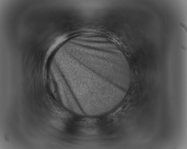 X0000091520343200709071022